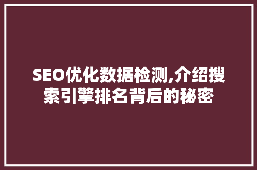 SEO优化数据检测,介绍搜索引擎排名背后的秘密