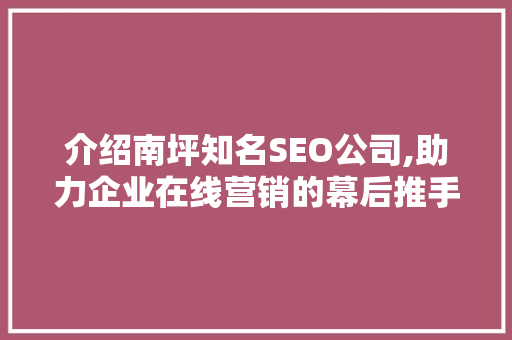 介绍南坪知名SEO公司,助力企业在线营销的幕后推手