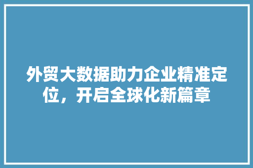 外贸大数据助力企业精准定位，开启全球化新篇章  第1张