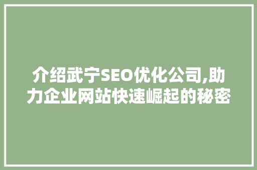 介绍武宁SEO优化公司,助力企业网站快速崛起的秘密武器