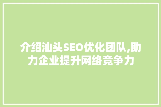 介绍汕头SEO优化团队,助力企业提升网络竞争力