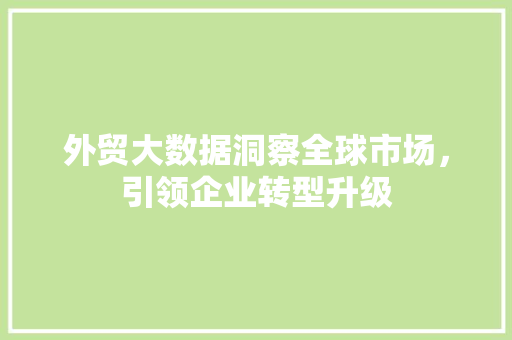 外贸大数据洞察全球市场，引领企业转型升级  第1张