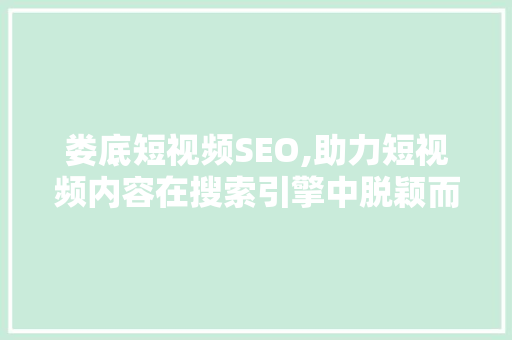 娄底短视频SEO,助力短视频内容在搜索引擎中脱颖而出