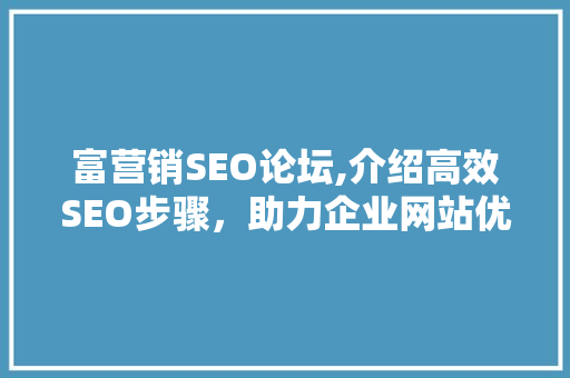 富营销SEO论坛,介绍高效SEO步骤，助力企业网站优化  第1张