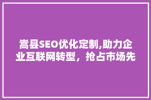 嵩县SEO优化定制,助力企业互联网转型，抢占市场先机