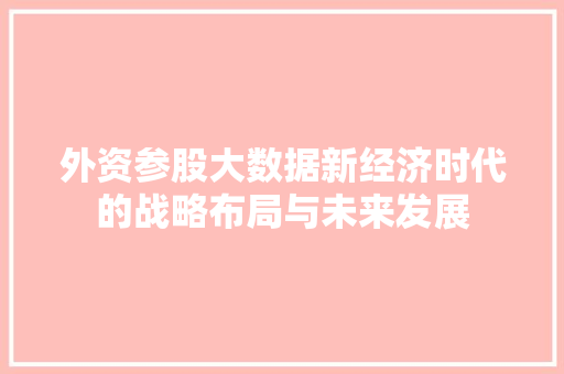 外资参股大数据新经济时代的战略布局与未来发展