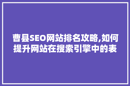 曹县SEO网站排名攻略,如何提升网站在搜索引擎中的表现