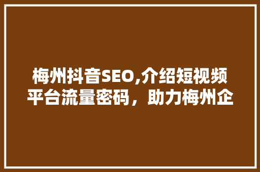 梅州抖音SEO,介绍短视频平台流量密码，助力梅州企业腾飞