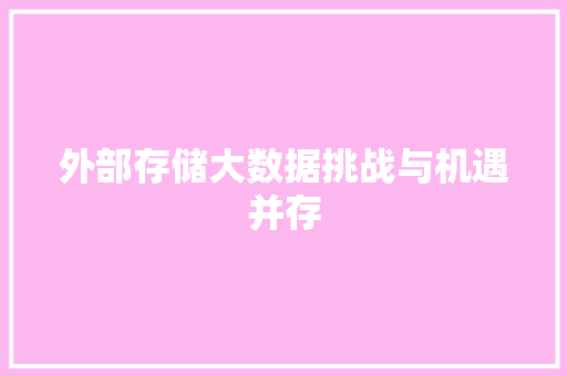 外部存储大数据挑战与机遇并存  第1张