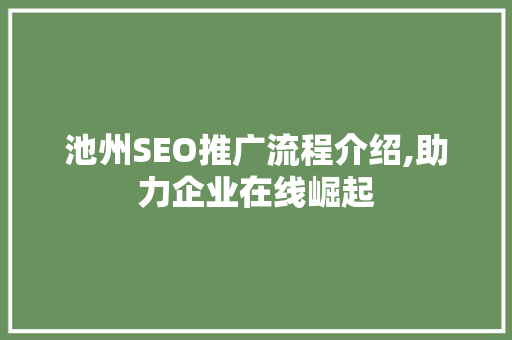 池州SEO推广流程介绍,助力企业在线崛起