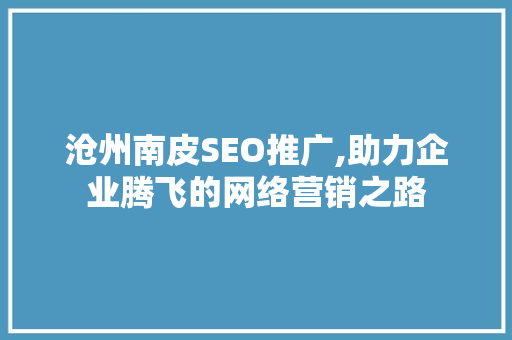 沧州南皮SEO推广,助力企业腾飞的网络营销之路
