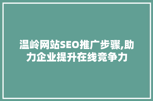 温岭网站SEO推广步骤,助力企业提升在线竞争力