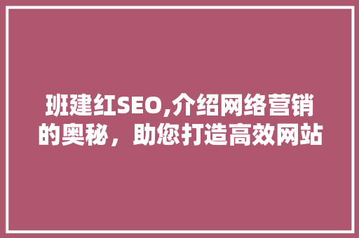 班建红SEO,介绍网络营销的奥秘，助您打造高效网站  第1张