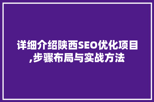 详细介绍陕西SEO优化项目,步骤布局与实战方法