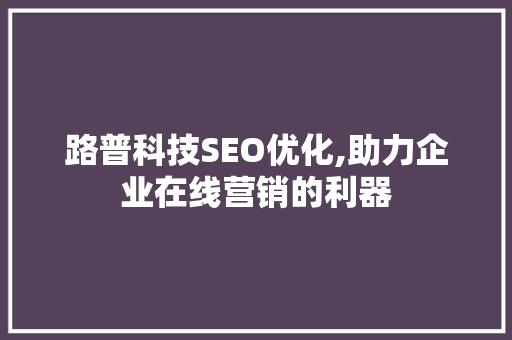 路普科技SEO优化,助力企业在线营销的利器