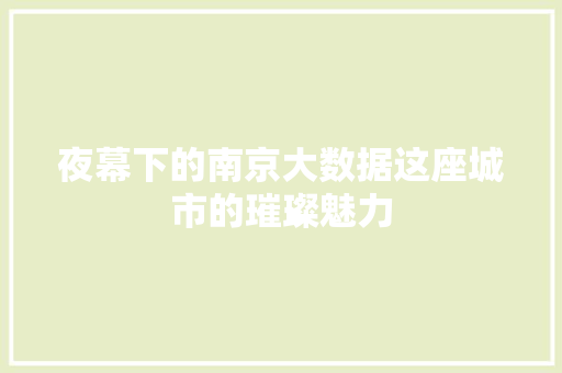 夜幕下的南京大数据这座城市的璀璨魅力