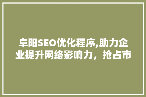 阜阳SEO优化程序,助力企业提升网络影响力，抢占市场先机