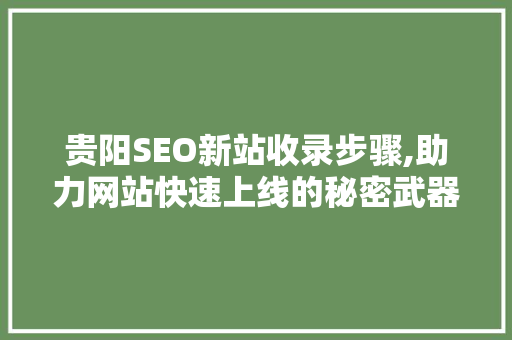 贵阳SEO新站收录步骤,助力网站快速上线的秘密武器  第1张