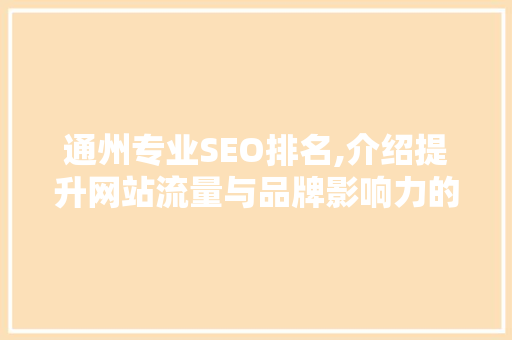 通州专业SEO排名,介绍提升网站流量与品牌影响力的方法
