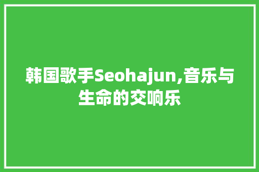 韩国歌手Seohajun,音乐与生命的交响乐