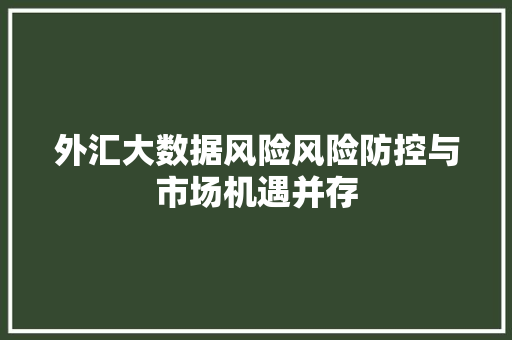 外汇大数据风险风险防控与市场机遇并存  第1张