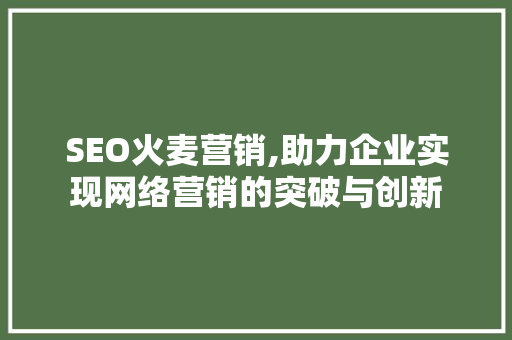 SEO火麦营销,助力企业实现网络营销的突破与创新