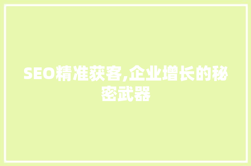 SEO精准获客,企业增长的秘密武器