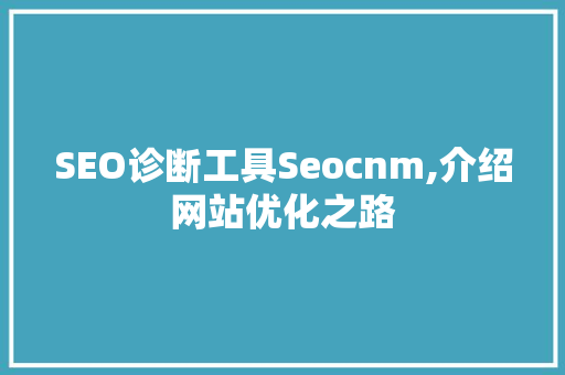 SEO诊断工具Seocnm,介绍网站优化之路