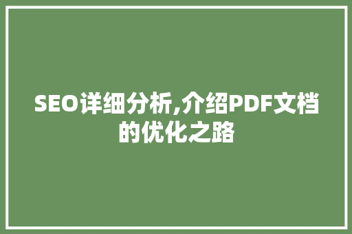 SEO详细分析,介绍PDF文档的优化之路