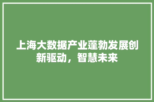 上海大数据产业蓬勃发展创新驱动，智慧未来