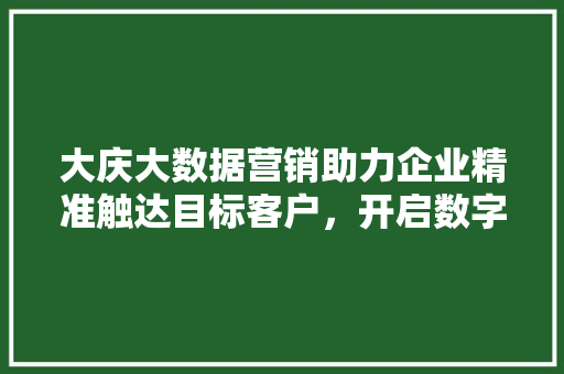 大庆大数据营销助力企业精准触达目标客户，开启数字化转型新篇章  第1张