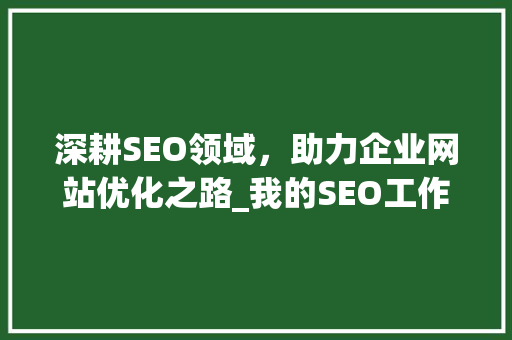 深耕SEO领域，助力企业网站优化之路_我的SEO工作经历分享