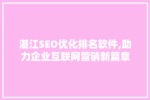 湛江SEO优化排名软件,助力企业互联网营销新篇章