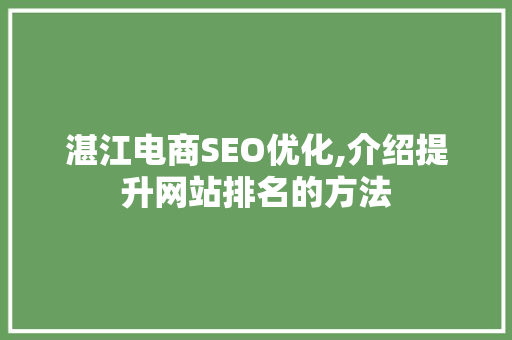 湛江电商SEO优化,介绍提升网站排名的方法