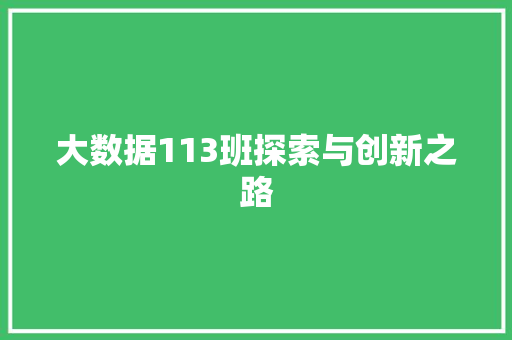 大数据113班探索与创新之路  第1张