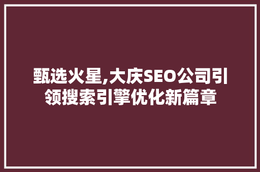 甄选火星,大庆SEO公司引领搜索引擎优化新篇章