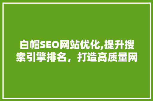 白帽SEO网站优化,提升搜索引擎排名，打造高质量网站