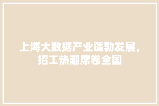 上海大数据产业蓬勃发展，招工热潮席卷全国