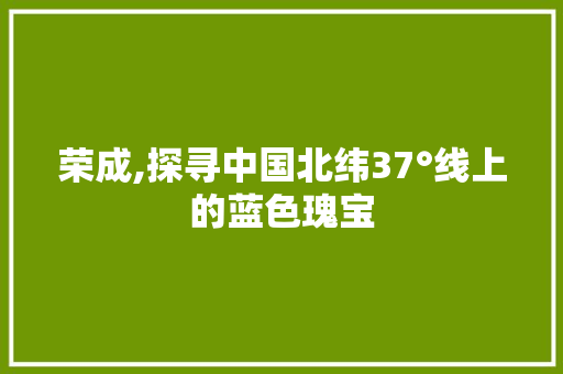 荣成,探寻中国北纬37°线上的蓝色瑰宝
