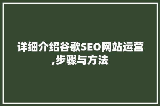 详细介绍谷歌SEO网站运营,步骤与方法  第1张