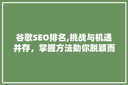 谷歌SEO排名,挑战与机遇并存，掌握方法助你脱颖而出