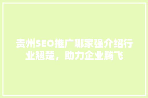贵州SEO推广哪家强介绍行业翘楚，助力企业腾飞