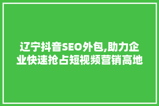 辽宁抖音SEO外包,助力企业快速抢占短视频营销高地