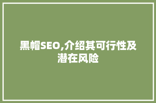 黑帽SEO,介绍其可行性及潜在风险