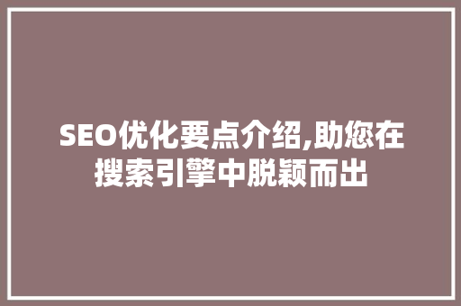 SEO优化要点介绍,助您在搜索引擎中脱颖而出