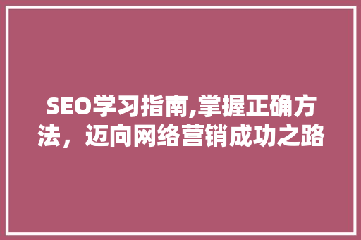 SEO学习指南,掌握正确方法，迈向网络营销成功之路