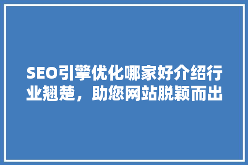 SEO引擎优化哪家好介绍行业翘楚，助您网站脱颖而出  第1张