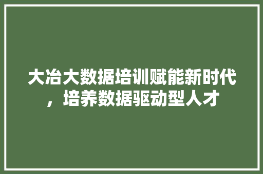 大冶大数据培训赋能新时代，培养数据驱动型人才