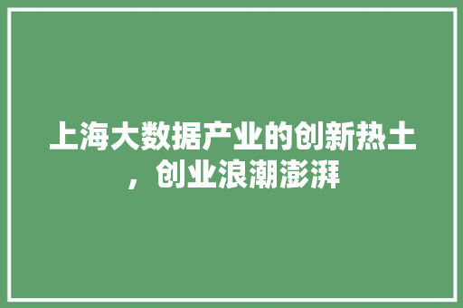 上海大数据产业的创新热土，创业浪潮澎湃