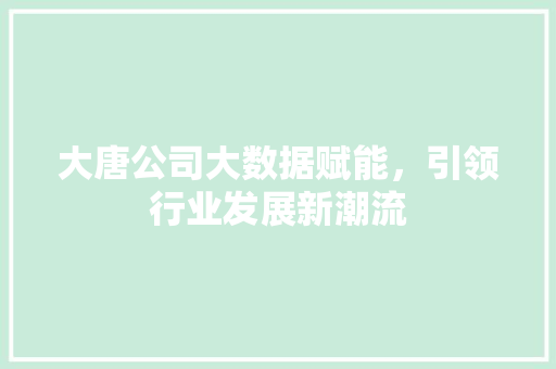 大唐公司大数据赋能，引领行业发展新潮流  第1张